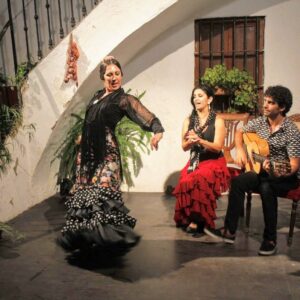 Curso-completo-de-flamenco